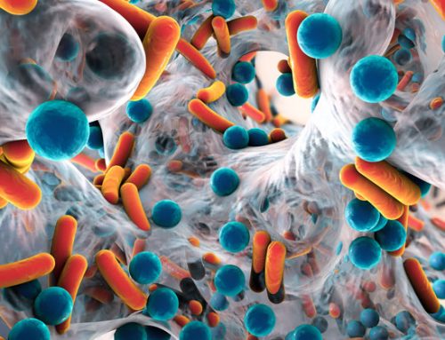 Scientists develop rapid test that determines antibiotic resistance